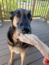 Load image into Gallery viewer, Beef Tendon - Freeze Dried
