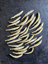 Load image into Gallery viewer, Smelt (Wild Caught)(+ Freeze Dried Options)
