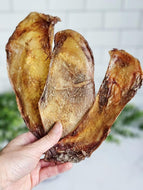Bison Scapula (Grass Fed & Finished)