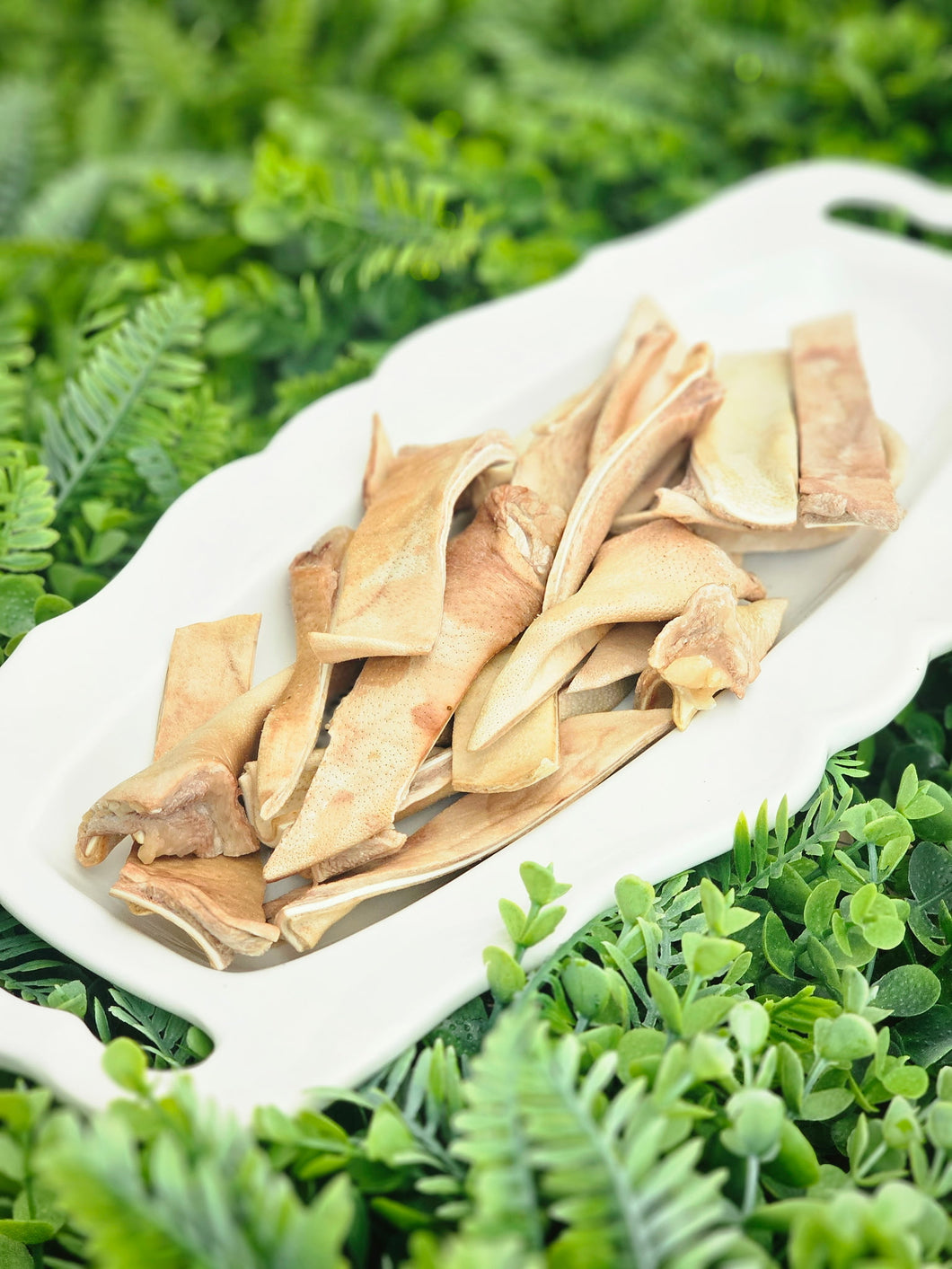 Pig Ear Strips - Freeze Dried