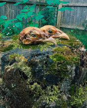 Load image into Gallery viewer, Pheasant Heads
