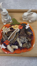 Load and play video in Gallery viewer, Scarecuterie Sampler Platter - Limited Edition
