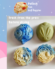 Load image into Gallery viewer, Pet Mooncakes Giftbox - Freeze Dried- Limited Edition
