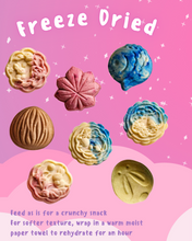 Load image into Gallery viewer, Pet Mooncakes Giftbox - Freeze Dried- Limited Edition
