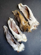 Rabbit Ears - Limited Edition