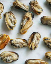 Load image into Gallery viewer, Green Lipped Mussels
