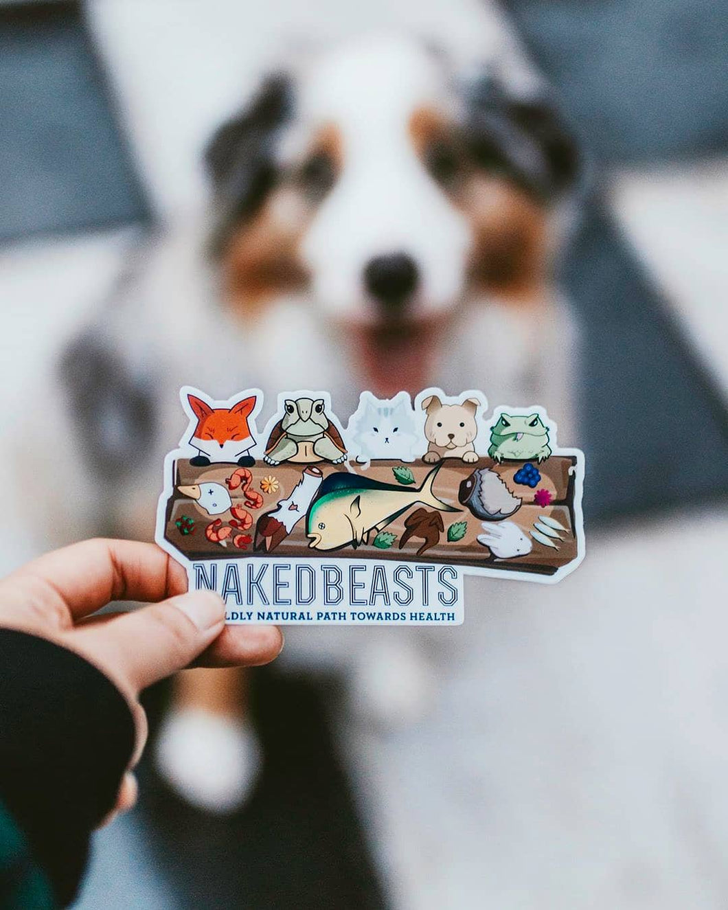 Feasts of Beasts Decal
