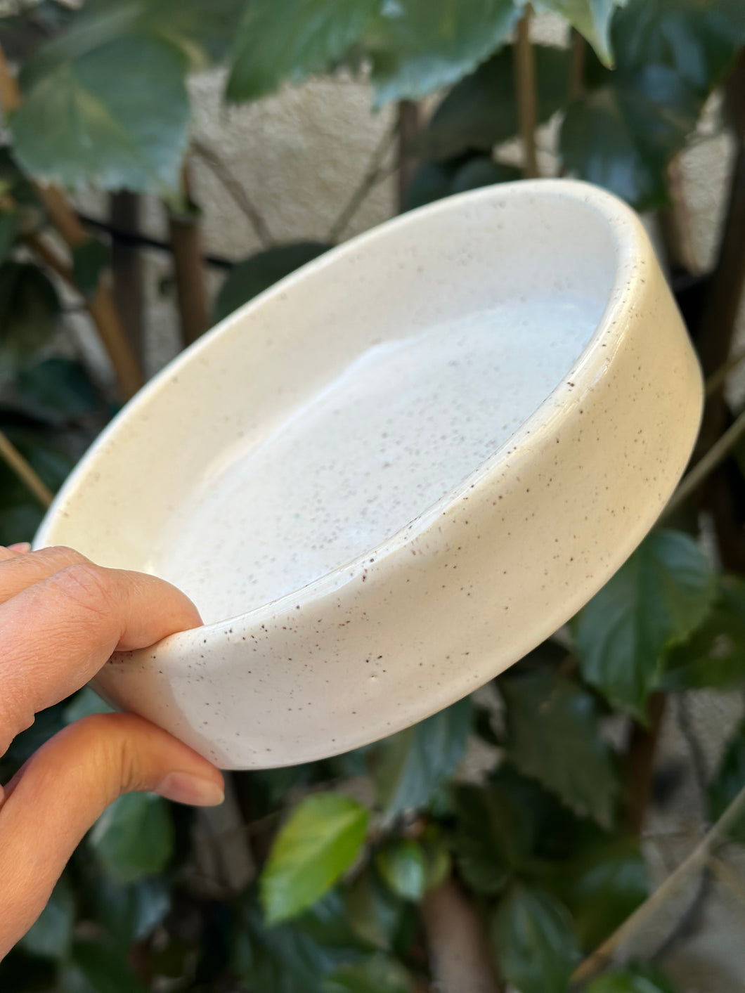 Ceramic Pet Bowl